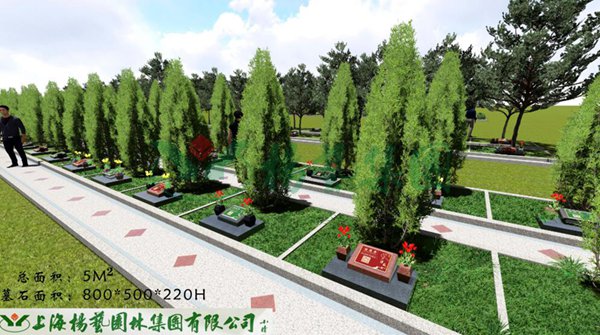 亚游集团·ag8(中国)官网 -只為非同凡享