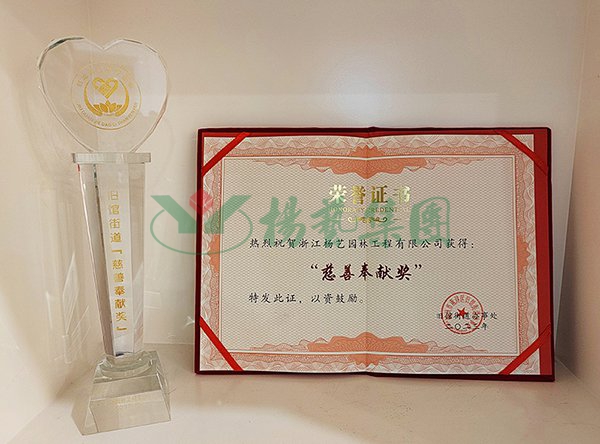 亚游集团·ag8(中国)官网 -只為非同凡享