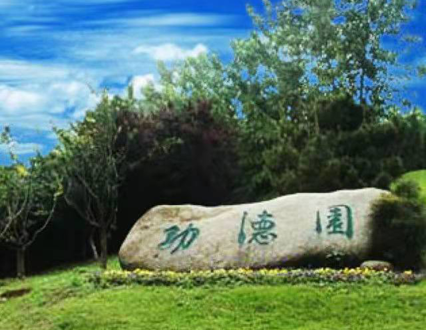 亚游集团·ag8(中国)官网 -只為非同凡享