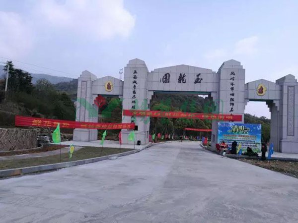 亚游集团·ag8(中国)官网 -只為非同凡享