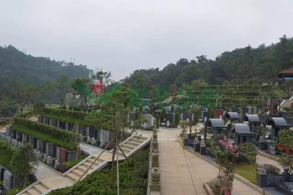 亚游集团·ag8(中国)官网 -只為非同凡享