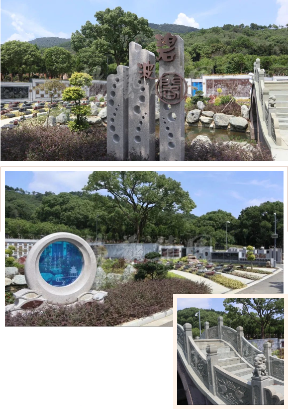 亚游集团·ag8(中国)官网 -只為非同凡享