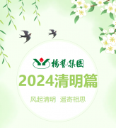 风起清明 遥寄相思|杨艺集团・2024清明篇